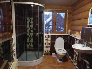 a bathroom with a shower and a toilet and a sink at Затишний будиночок in Bukovets +39 photos