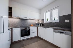 Kuchyň nebo kuchyňský kout v ubytování Apartmány ZaBukem