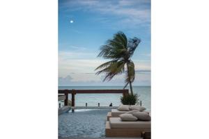 a view of the beach and a palm tree at Branco Haus - Pé na Areia do Caribessa in João Pessoa +175 photos