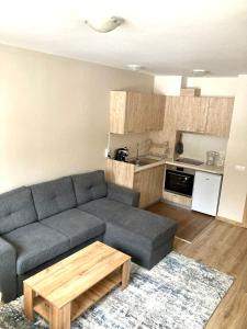 Kuchyň nebo kuchyňský kout v ubytování Cactus Apartment