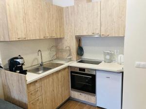 Kuchyň nebo kuchyňský kout v ubytování Cactus Apartment