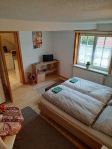 伊爾梅瑙的住宿－Zum Tischler，一间卧室设有一张大床和一个窗户。