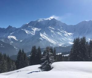 una montaña cubierta de nieve con un árbol en el primer plano en Chalet l'Aiglon en Saint-Gervais-les-Bains