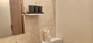 uma casa de banho com um WC com um rolo de papel higiénico em Central Accommodation PIATA ROMANA em Bucareste