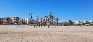 a group of palm trees on a sandy beach at Apartamento Peonia 1 in Canet de Berenguer