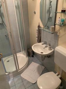 a bathroom with a shower and a toilet and a sink at Crystal Lakes Apartment in Plitvička Jezera