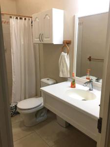 een badkamer met een wastafel, een toilet en een spiegel bij ZenBreak The Gem in Saint Philip