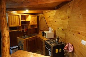 a small kitchen with a stove and a microwave at Domo Lenga in Chile Chico