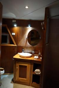 a bathroom with a sink and a mirror at Domo Lenga in Chile Chico