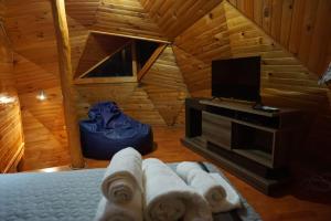 una habitación con TV y toallas en una cabaña en Domo Lenga, en Chile Chico