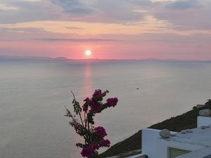 a sunset over the ocean with a bouquet of flowers at Nefeles Arkadiko Chorio in rkadiko Chorio
