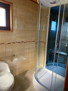 a bathroom with a toilet and a glass shower at Casa Tauco in Rauco