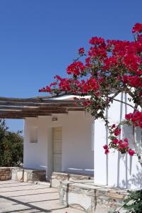 Biały budynek z czerwonymi kwiatami w obiekcie The Artists House - Traditional Home w mieście Agia Theodoti