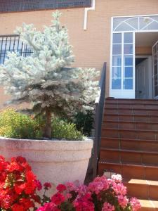 Gallery image of Casa Montesol in Cáceres