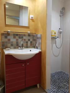W łazience znajduje się umywalka i prysznic. w obiekcie chez lulu w mieście Saint-Joseph
