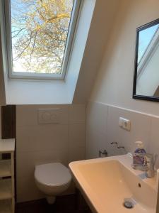 a bathroom with a toilet and a window at Muschelkorb in Hinrichsdorf