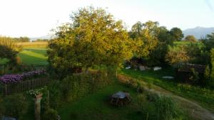 un giardino con tavolo e albero di Ferienwohnung ChiemseeZeit :-) - Familie Lechermann a Gstadt am Chiemsee