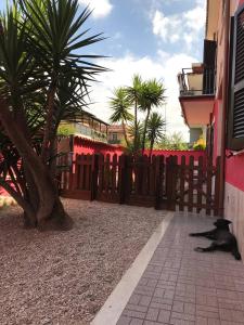 een zwarte kat op de grond naast een hek bij Holiday rooms with private bathroom in Acilia