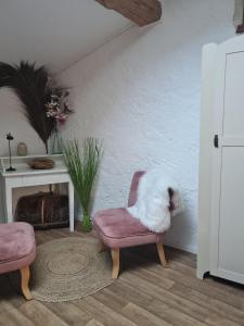 un chien blanc assis sur une chaise dans une pièce dans l'établissement Laronde Gites a Baragane, à Taillant