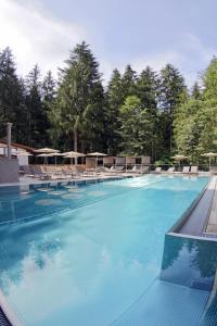 Basen w obiekcie Aktivhotel Waldhof lub w pobliżu