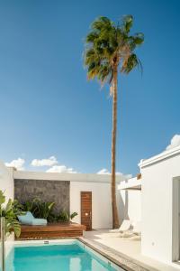 Gallery image of Areca by AGM Resorts in Puerto del Carmen