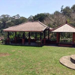 um gazebo num campo de relva com árvores em Villa Sinta em Baturiti