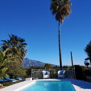 a swimming pool with two chairs and a palm tree at Casa Silca in Marbella