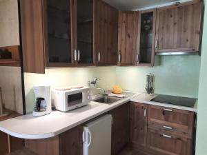 Kuchyň nebo kuchyňský kout v ubytování Appartementanlage Thermenblick SKI IN & SKI OUT