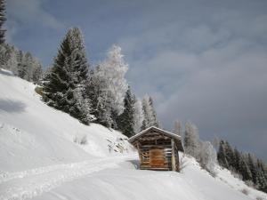 Gasthof Hirschen v zimě