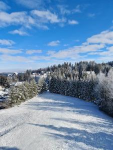 a road covered in snow with trees in the background at Hotel ALPIN - apartament 704 in Poiana Brasov