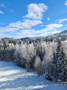 an aerial view of a snow covered forest with trees at Hotel ALPIN - apartament 704 in Poiana Brasov