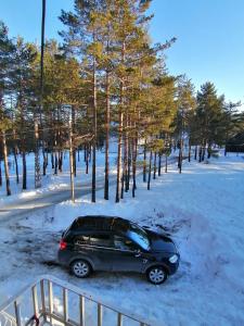 Divčibarski M.S.A. kutak en invierno