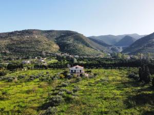 Φυσικό τοπίο κοντά σε αυτό το διαμέρισμα