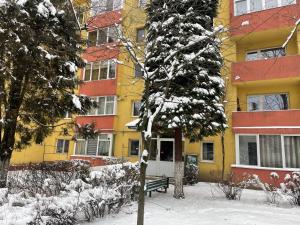 Apartament Amira om vinteren