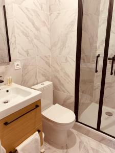 a bathroom with a toilet and a shower and a sink at Hôtel Le Britannic in Saint Malo +23 photos
