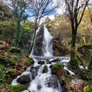Galeriebild der Unterkunft Beecaramulo-Apiturismo in Caramulo