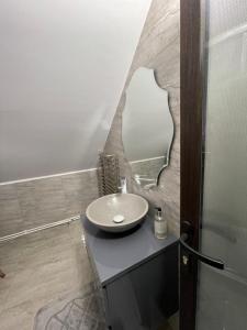 a bathroom with a sink and a mirror at ApartElim in Mănăstirea Humorului