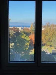 una ventana con vistas a un árbol en Genève, plein centre,belle vue Lac, splendide et grand appartement en Ginebra