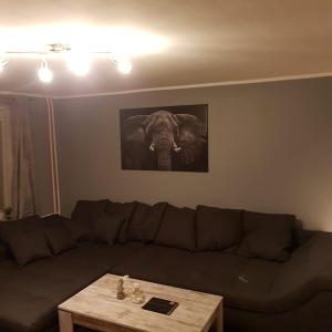 - un salon avec un canapé et une photo d'éléphant dans l'établissement Flensburg Zentrum 69 4, à Flensbourg