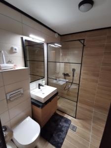 a bathroom with a toilet and a sink and a shower at Suncana planina apartman 103 in Kopaonik +9 photos