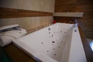 Kúpeľňa v ubytovaní Beskid Rose & SPA