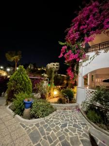 Zahrada ubytování SCALA APARTS & STUDIOS - Rhodes