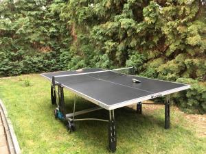 Stolný tenis v ubytovaní Aktiv pihenés apartman alebo v jeho okolí