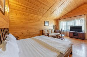 1 dormitorio con 1 cama y TV en una habitación en Zolotaya Buhta Hotel, en Anapa