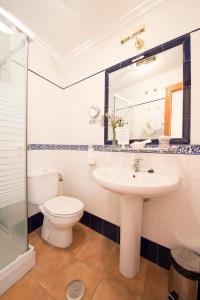 La salle de bains est pourvue d'un lavabo et de toilettes. dans l'établissement Hotel Rural la Concordia, à Monzón de Campos