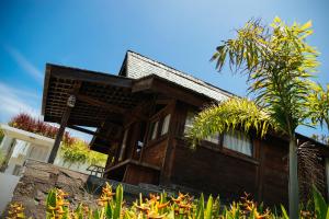Ein Garten an der Unterkunft Rapture Surfcamps Green Bowl