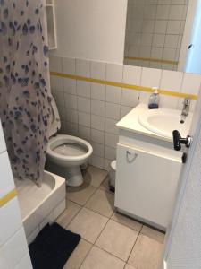 a bathroom with a toilet and a sink and a shower at Le Français, studio au calme proche de la gare in Besançon