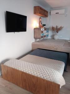 1 dormitorio con 1 cama y TV de pantalla plana en Estudio jacuzzi Luz de Jerez en Jerez de la Frontera