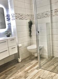 a bathroom with a toilet and a glass shower at Part Royal Apartments in Keszthely