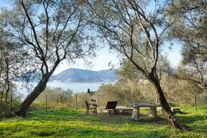 un tavolo da picnic con sedie in un campo con lago di Casa Conte Picedi appartamento Luna a Lerici